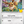 Load image into Gallery viewer, Pokémon TCG: 30th Celebration 2-Pack Blister / Knockout Collection (PREORDER)
